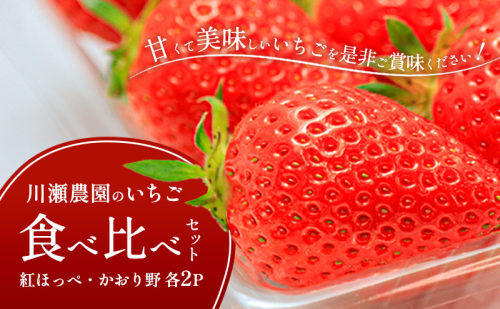 川瀬農園のいちご食べ比べセット　4パック（紅ほっぺ・かおり野　各2P） 1557632 - 滋賀県米原市