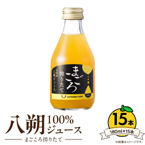 ZE6455_【まごころ搾りたて】八朔 100%ジュース 180ml × 15本 1557633 - 和歌山県湯浅町