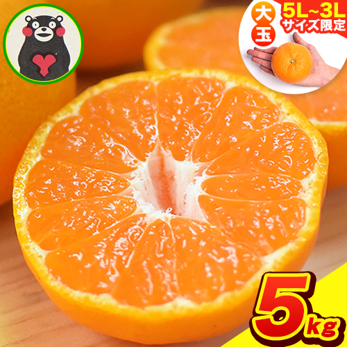 ご家庭用 熊本 大粒みかん 約5kg (3L～5Lサイズ)大玉 みかん 先行予約 熊本 ちょっと 訳あり 傷 たっぷり 熊本県産 熊本県 期間限定 フルーツ 旬 柑橘 長洲町 大粒みかん《2025年1月中旬-2月末頃より出荷予定》 1557739 - 熊本県長洲町