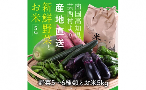 野菜とお米の詰合せ 155775 - 高知県芸西村