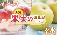 【2026年発送先行予約】南信州産 定期便2回送り　人気果実の返礼品セット　各5kg　＜桃　あかつき＞＜梨　幸水＞