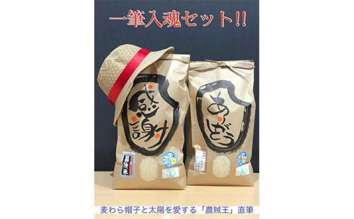 10セットのみ　米農家「尾崎ファーム農賊団」の『一筆入魂』セット　目白大学の学生が考案、その2 お米 コシヒカリ  155797 - 福井県若狭町