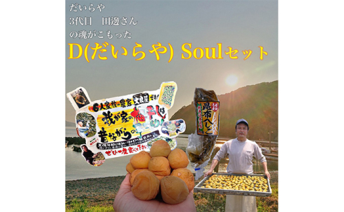 三代目 D Soul セット　目白大学の学生が考案、その9 梅干し 魚貝類 加工食品  155816 - 福井県若狭町
