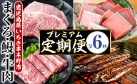 【6ヶ月定期便】いちき串木野プレミアム定期便（マグロ・鰻・牛肉）【PT-004H】