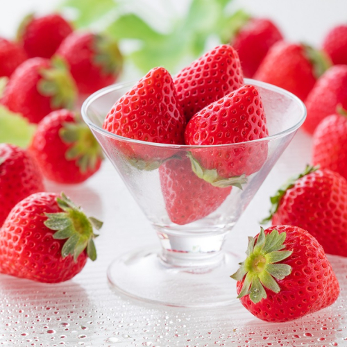 【贈答品】特別栽培イチゴ 恋みのり 化粧箱（450g）×2箱：B240-025 155821 - 佐賀県佐賀市