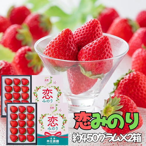 【贈答品】 特別栽培イチゴ 恋みのり 化粧箱（450g）× 2箱　12月下旬～4月発送：B245-009 155821 - 佐賀県佐賀市