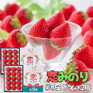 【贈答品】 特別栽培イチゴ 恋みのり 化粧箱（450g）× 2箱　12月下旬～4月発送：B245-009