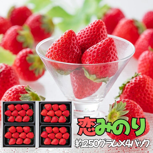【完熟・採れたて】 特別栽培イチゴ 恋みのり 250ｇ × 4パック　12月下旬～4月発送：B155-021 155822 - 佐賀県佐賀市