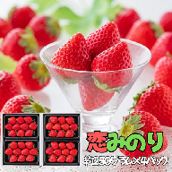 【完熟・採れたて】 特別栽培イチゴ 恋みのり 250ｇ × 4パック　12月下旬～4月発送：B155-021