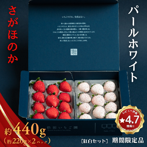 数量限定！先行受付！佐賀県産いちご さがほのか＆パールホワイト 紅白セット【2027年1～4月発送】：B140-008 155827 - 佐賀県佐賀市
