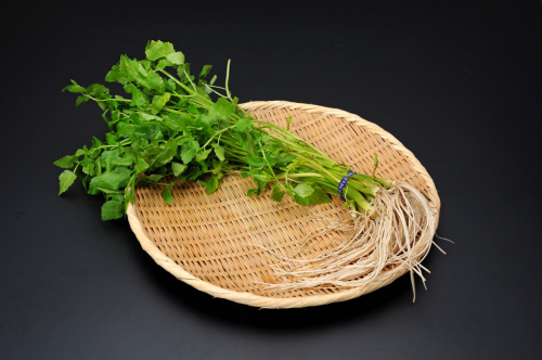 三関産セリ 5束 せり 秋田県 ふるさと 人気 ランキング【奥山果樹園】[M7801] 1558410 - 秋田県湯沢市