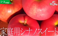 りんご 【1～2月発送】【訳あり】家庭用 シナノスイート 約5kg 糖度13度以上（糖度証明書付き）【 弘前市産 青森りんご 】