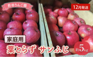 りんご 【 12月発送 】 前田りんご園 家庭用 葉とらず サンふじ 約 5kg 【 弘前市産 青森りんご 】