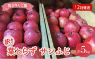 りんご 【 12月発送 】 前田りんご園 訳あり 葉とらず サンふじ 約 5kg 【 弘前市産 青森りんご 】