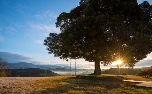 PK-002 天空の森「霖雨の森」ペア宿泊券(1泊2食付)温泉付きヴィラで完全プライベート1泊2食付きペア宿泊チケット【天空の森】宿泊 旅行 チケット 宿泊券 温泉 旅行券 温泉 高級宿 155909 - 鹿児島県霧島市
