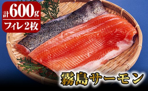 B0-162 国産！霧島サーモンセット(計600g・フィレ300g×2枚)【ベクトル】 155990 - 鹿児島県霧島市