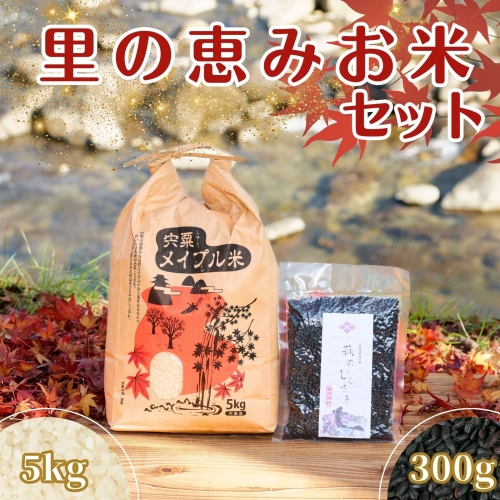 K2【令和6年産　新米　先行受付】里の恵み　お米セット　こしひかり　紫黒米 156302 - 兵庫県宍粟市