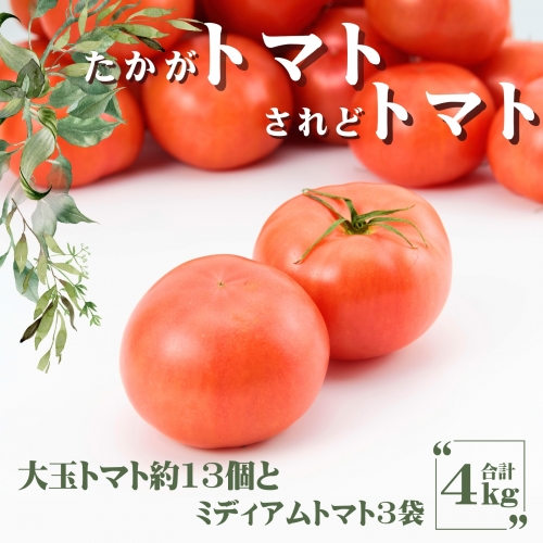 AP2　田中農園自慢のトマト4kg 156304 - 兵庫県宍粟市