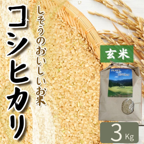 K9【令和7年産】しそうのおいしい お米　コシヒカリ 玄米 3Kg　【 こしひかり 玄米 兵庫県産 宍粟市産 3Kg 少量 】 156341 - 兵庫県宍粟市
