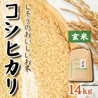 K9【令和6年産　新米　先行受付】しそうのおいしいお米　コシヒカリ玄米14kg