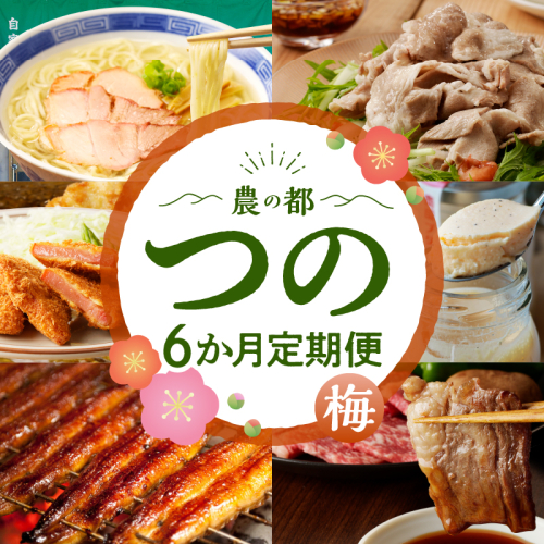 ≪6か月お楽しみ定期便≫都農町定期便(梅) 肉 加工品 デザート 国産_T999-005 1564536 - 宮崎県都農町