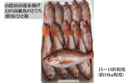 山陰浜田港水揚げ　幻の高級魚のどぐろ(鮮魚)ひと箱 【1996】