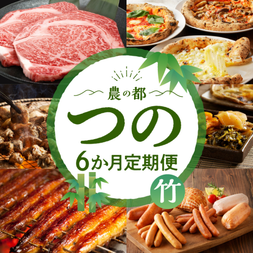 ≪6か月お楽しみ定期便≫都農町定期便(竹) 肉 加工品 鰻 国産_T999-006 1564542 - 宮崎県都農町