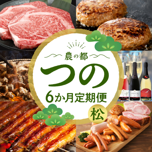 ≪6か月お楽しみ定期便≫都農町定期便(松) 肉 加工品 鰻 国産_T999-007
 1564552 - 宮崎県都農町