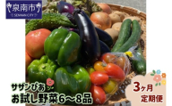 サザンぴあ お試し野菜6～8品 3ヶ月定期便【015B-002】