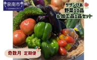 サザンぴあ 野菜10品＆加工品1品セット 奇数月定期便【015A-003】