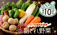 【4ヶ月連続定期便】【訳あり】朝どれ野菜 10品目 春 旬 新鮮 野菜 おまかせ 送料無料