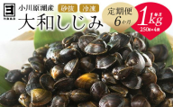 【 6ヵ月定期便 】砂抜き済みで手間いらず！冷凍・小川原湖産大和しじみ1kg（250g×4袋）　【02408-0090】