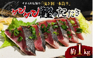 すさみケンケン鰹のたたき 約1kg / 鰹 かつお かつおのたたき 刺身 天然 初ガツオ 初鰹 カツオのたたき 鰹 冷凍 真空 小分け 個包装  魚 和歌山県 すさみ町【scp012】
