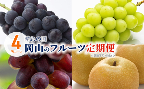 ぶどう 梨 定期便 2025年 先行予約 晴れの国 岡山 の フルーツ 定期便 4回コース 葡萄 なし 岡山県産 国産 セット ギフト 1565174 - 岡山県瀬戸内市