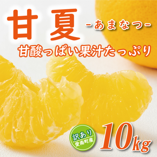 先行予約 訳あり 甘夏 10kg 7000円 樹齢25年 以上 みかん mikan 蜜柑 あまなつ 夏みかん グレープフルーツ だいだい 家庭用 事前 予約 受付 産地直送 国産 農家直送 糖度 期間限定 数量限定 特産品 ゼリー マーマレード ピール ジュース デザート 人気 限定 おいしい 果実 果肉 フルーツ 果物 柑橘 美味しい サイズ ミックス 減農薬 くらもとファーム 愛南町 愛媛県 1565184 - 愛媛県愛南町