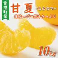 先行予約 贈答用 甘夏 10kg 10000円 樹齢25年 以上 みかん mikan 蜜柑 あまなつ 夏みかん グレープフルーツ だいだい 事前 予約 受付 産地直送 国産 農家直送 糖度 期間限定 数量限定 特産品 ゼリー マーマレード ピール ジュース デザート 人気 限定 おいしい  フルーツ 果物 柑橘 ビタミン 健康 美味しい サイズ ミックス 減農薬 くらもとファーム 愛南町 愛媛県