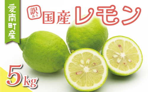 訳あり レモン 5kg 7000円 柑橘 サイズ 不揃い 家庭用 檸檬 国産 フルーツ 果物 果実 産地直送 農家直送 数量限定 期間限定 特産品 瀬戸内 ワックス 防腐剤 不使用 有機栽培 果汁 人気 新鮮 レモネード 塩レモン レモン酢 レモンソース はちみつレモン レモンケーキ レモンスカッシュ レモンサワー レモン酎ハイ ビタミン くらもとファーム 愛南町 愛媛県 1565269 - 愛媛県愛南町