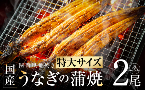 超ビッグサイズ！数量限定！老舗【五郎藤】 関西風地焼き 国産有頭旨鰻 250g×2尾 特大 うなぎ ウナギ 蒲焼き 炭火 G1481 1565325 - 大阪府泉佐野市