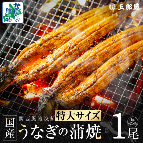 【ビッグサイズ】老舗五郎藤 国産 旨鰻 250g×1尾【関西風地焼き 特大 うなぎ ウナギ 蒲焼き 炭火 数量限定 有頭 北国からの贈り物 厳選】 099H3443 1565326 - 大阪府泉佐野市