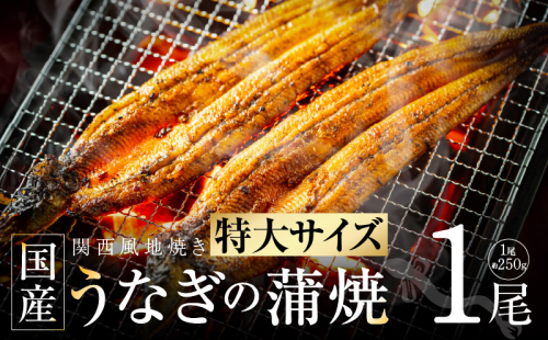 超ビッグサイズ！数量限定！老舗【五郎藤】 関西風地焼き 国産有頭旨鰻 250g×1尾 特大 うなぎ ウナギ 蒲焼き 炭火 G1482 1565326 - 大阪府泉佐野市