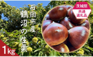 【先行予約】【茨城県共通返礼品】石岡市産鶴沼の生栗約1kg【2025年9月中旬頃から発送予定】【 茨城県産 栗 くり マロン スイーツ デザート 果物 フルーツ  】