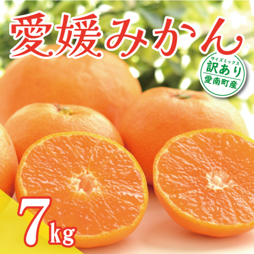 先行予約 訳あり 愛媛みかん 7kg 10000円 温州みかん こたつ みかん 温州 みかん mikan 蜜柑 愛媛 ミカン 完熟 家庭用 産地直送 国産 農家直送 糖度 期間限定 数量限定 特産品 ゼリー ジュース アイス 人気 限定 甘い 果実 果肉 フルーツ 果物 柑橘 先行 事前 予約 受付 ビタミン 健康 美味しい おいしい ジューシー サイズ ミックス くらもとファーム 愛南町 愛媛県 1565518 - 愛媛県愛南町