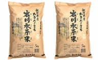 【 特別栽培米 】あきたこまち 5kg×2袋 精米 令和 3年産『 岩川水系米 』（合計10kg）＜ 秋田やまもと 農業協同組合＞