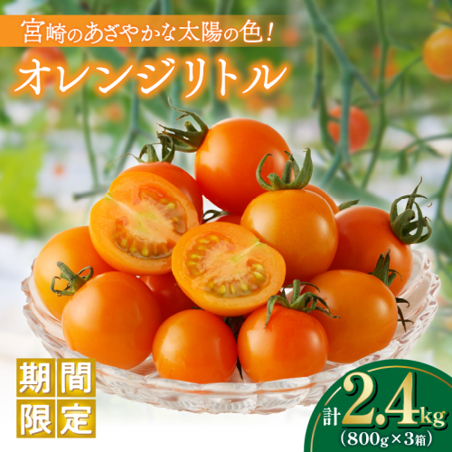 ≪期間限定≫オレンジリトル(合計2.4kg) ミニトマト 野菜 サラダ 国産_T040-0031 1566989 - 宮崎県都農町