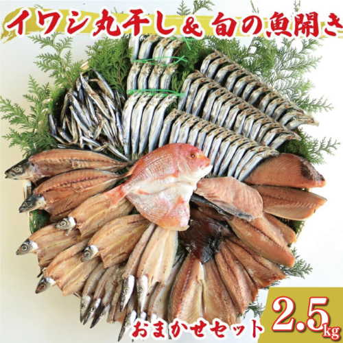 訳あり 魚の 丸干し ＆ 開き おまかせ セット 2.5kg 10000円 魚 海鮮 干物 無添加 ひもの ひらき 詰め合わせ 冷凍 丸干し 鯵 アジ 鯖 さば サバ 鰹 かつお カツオ 鯛 たい タイ 鰯 いわし イワシ 切り身 おつまみ おかず 惣菜 人気 珍味 グルメ 規格外  国産 新鮮 魚介 天然 乾き物 乾物 酒のあて 旬 季節 お中元 お歳暮 母の日 父の日 武久海産 愛南町 愛媛県 1567042 - 愛媛県愛南町