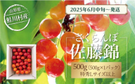 【令和7年産 早期受付】 鮭川村産さくらんぼ ＜佐藤錦＞ 特秀Lサイズ以上バラ詰め 500g