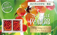 【令和7年産 早期受付】 鮭川村産さくらんぼ ＜佐藤錦＞ Lサイズ以上バラ詰め 700g