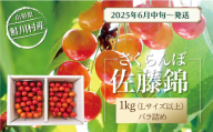 【令和7年産 早期受付】 鮭川村産さくらんぼ ＜佐藤錦＞ Lサイズ以上バラ詰め 1kg（500g×2P）