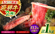 【12回定期】特選飛騨牛ステーキ&すきやき用(1Kgセット) / 飛騨牛 焼肉 ステーキ 肉 すき焼き すきやき 鍋 A5ランク 牛肉 / 御嵩町 / 肉のキング [AVAG013]
