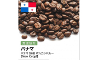 コーヒー豆 #267 パナマSHB ボルカンバルー 受注焙煎！310g 珈琲豆  自家焙煎